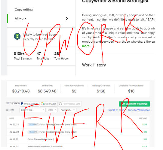 FIVERR & UPWORK EARNINGS AFTER COURSE